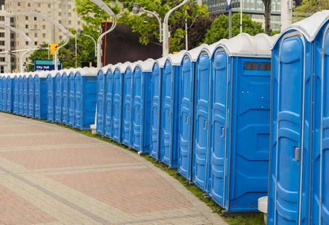 Seasonal porta potty units set up at a Kalamazoo, Michigan venue